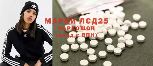 МДПВ Бородино