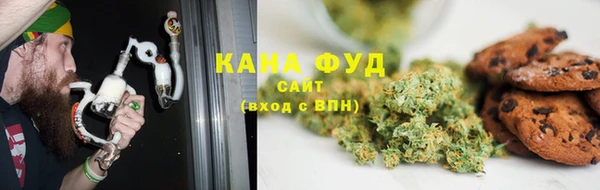 МДПВ Бородино