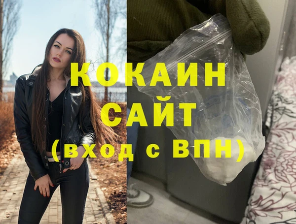 МДПВ Бородино
