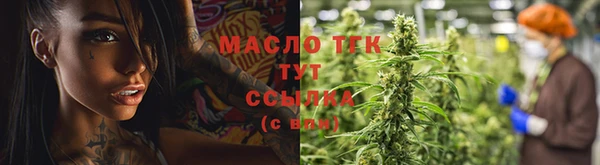 МДПВ Бородино