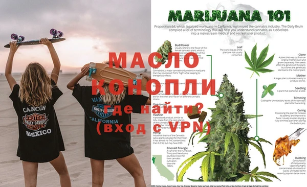 МДПВ Бородино