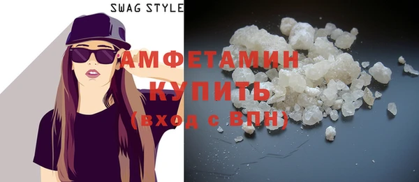МДПВ Бородино