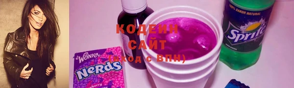 МДПВ Бородино