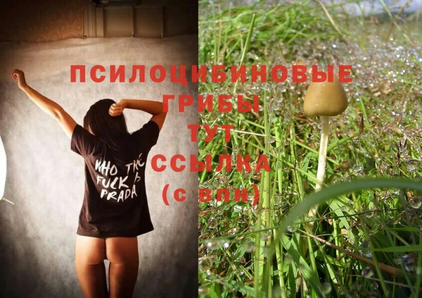 а пвп мука Бугульма