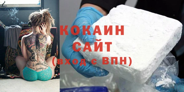 МДПВ Бородино