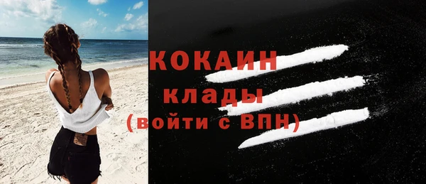 МДПВ Бородино